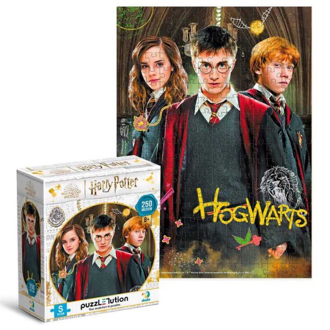 гр Пазл Medium-S "Harry Potter. Гаррі та друзі" 250 елементів 200498 (32) "DoDo"