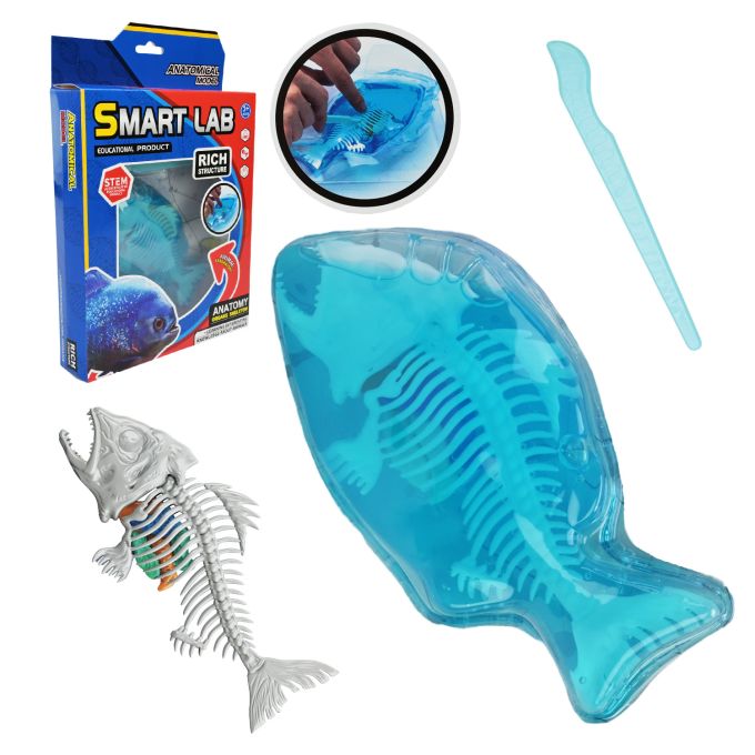 Лаборатонний набір Акула арт.802B (48шт) скелет, внутрішні органи, короб.19,5*4,5*29,5см